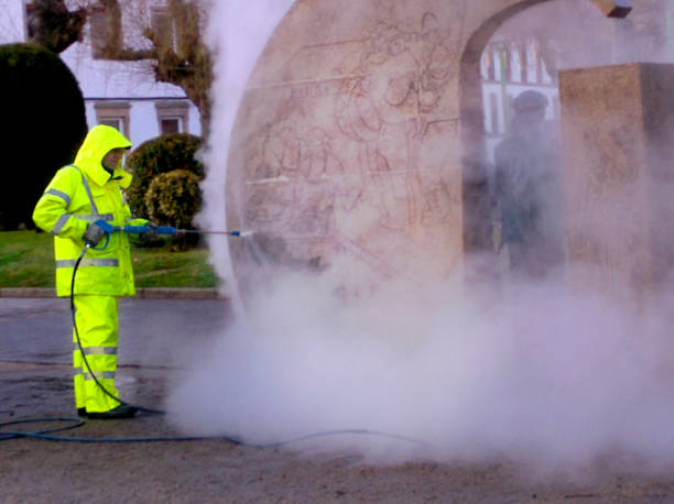 Best Local Pressure Washing Services  in Fruit Cove, FL